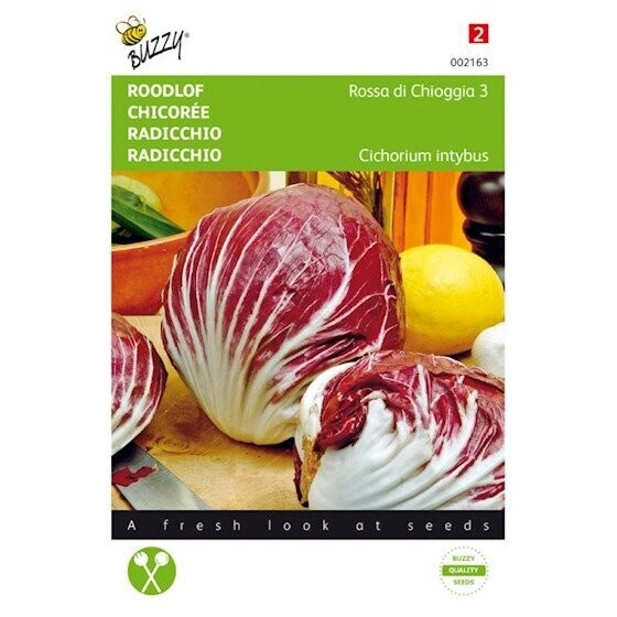 Buzzy® Roodlof Rossa di Chioggia 3