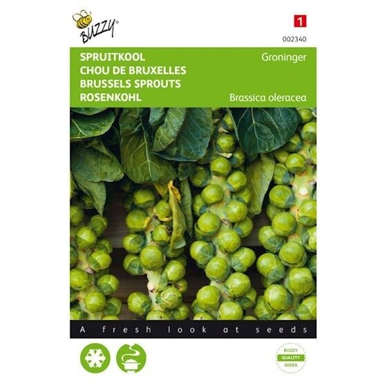 Buzzy® Spruitkool Groninger