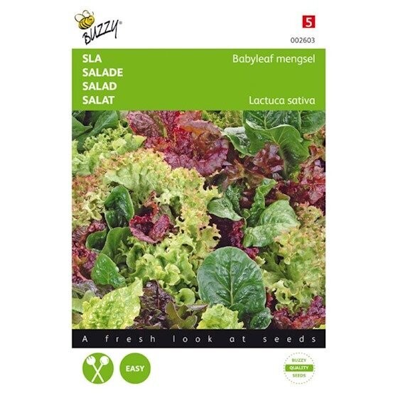 Buzzy® Sla Babyleaf mengsel
