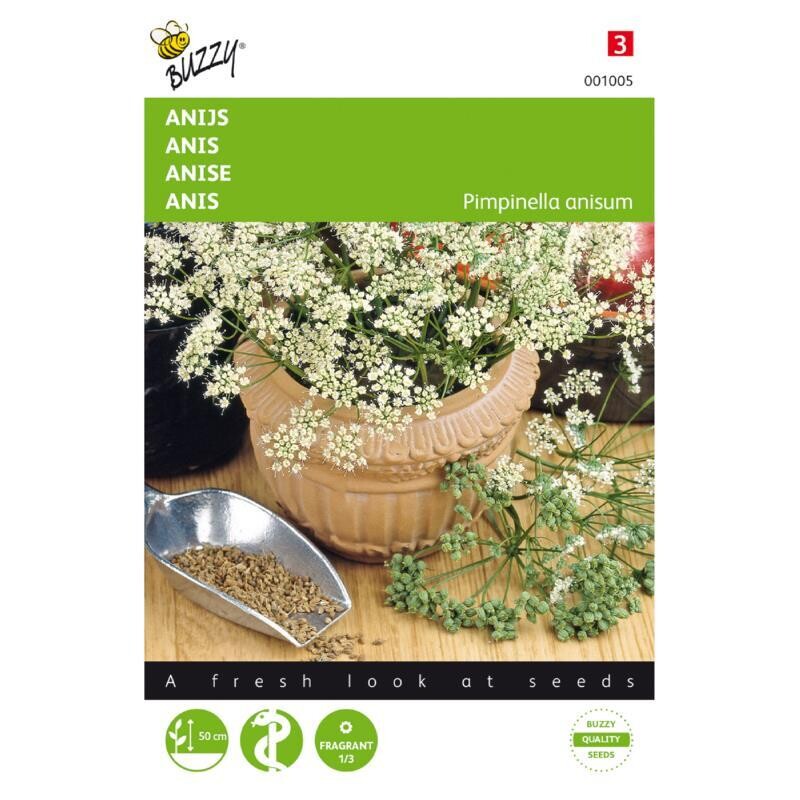 Buzzy® Anijs
