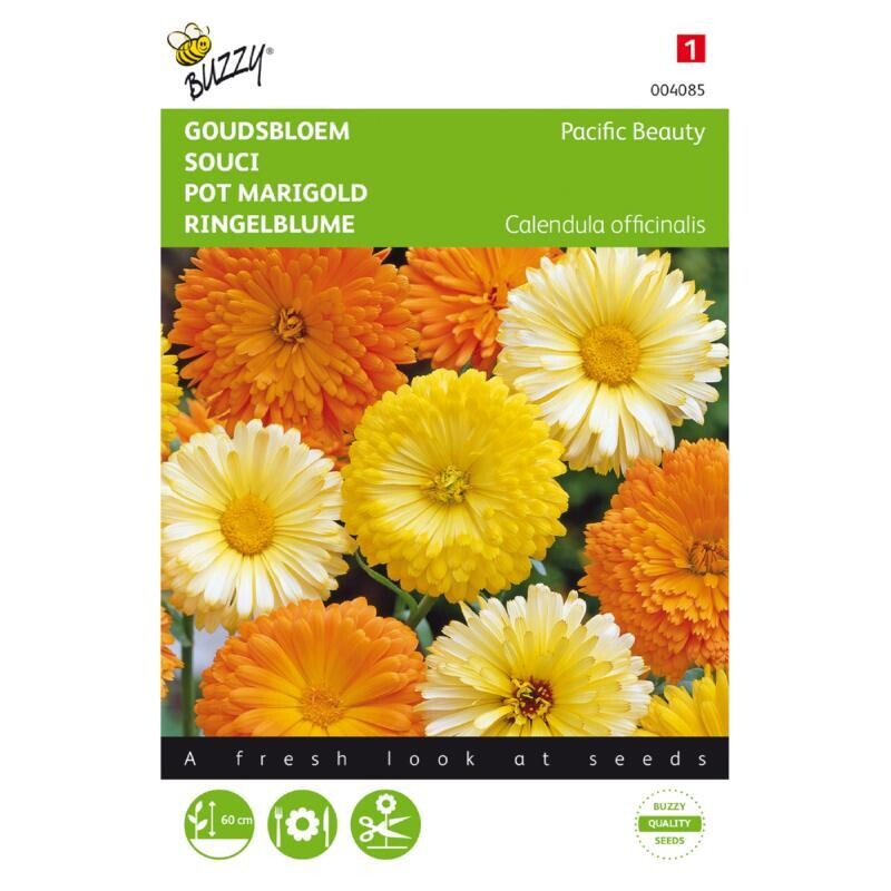 Buzzy® Calendula, Goudbloem Pacific Beauty gemengd