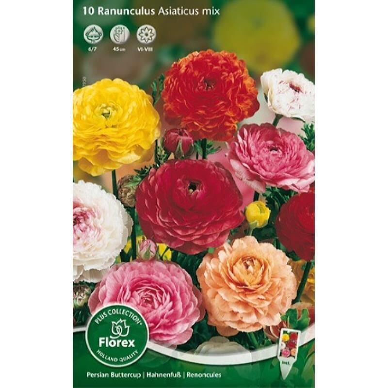 Ranunculus Gemengd 6/7