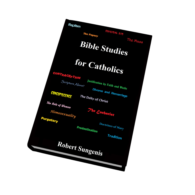 Bible Studies for Catholics (Paperback)