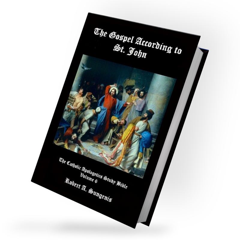 CASB 6: The Gospel of St. John (Hadcover)