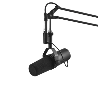 Interviews &amp; Video Conferences