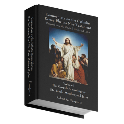 Commentary on the Catholic Douay-Rheims New Testament Exegeted from the Original Greek and Latin - Volume 1 -  Gospels of Sts. Mark, Matthew, &amp; John (Hardcover)