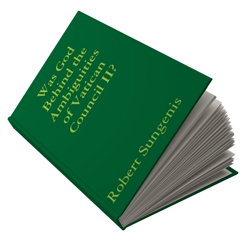 Was God Behind the Ambiguities of Vatican II? (Paperback)