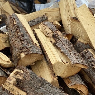 Cord of Pine