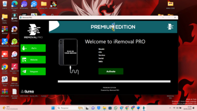 IREMOVAL PRO BYPASS PREMIUM