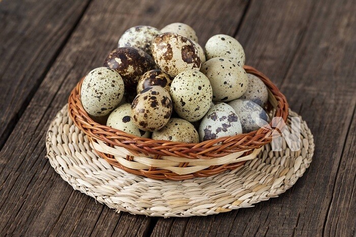 L&#39;oeuf de caille sans alvéole