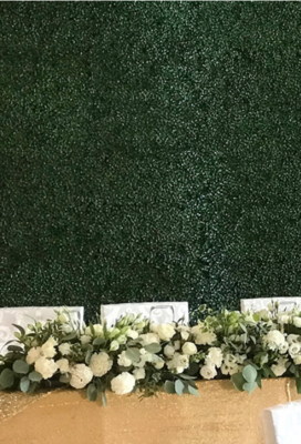 Panel bukszpanowy (ścianka) 1 m szerokości x 2,4 m wysokości możliwość wypożyczenia 4 sztuk