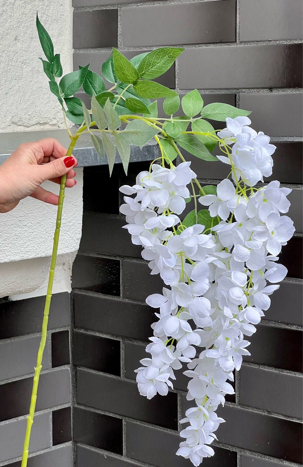 Biała Wisteria Sztuczny Kwiat  (Wypożyczenie)