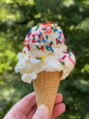 Vanilla  ice cream