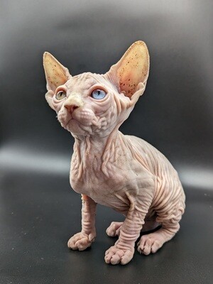 Venezia  E N T R E G A D A