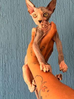 Otto E N  T R E G A D O