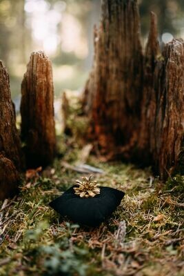 老齢林（Ikimetsä）へのネイチャーアクション™（Luontoteko™）