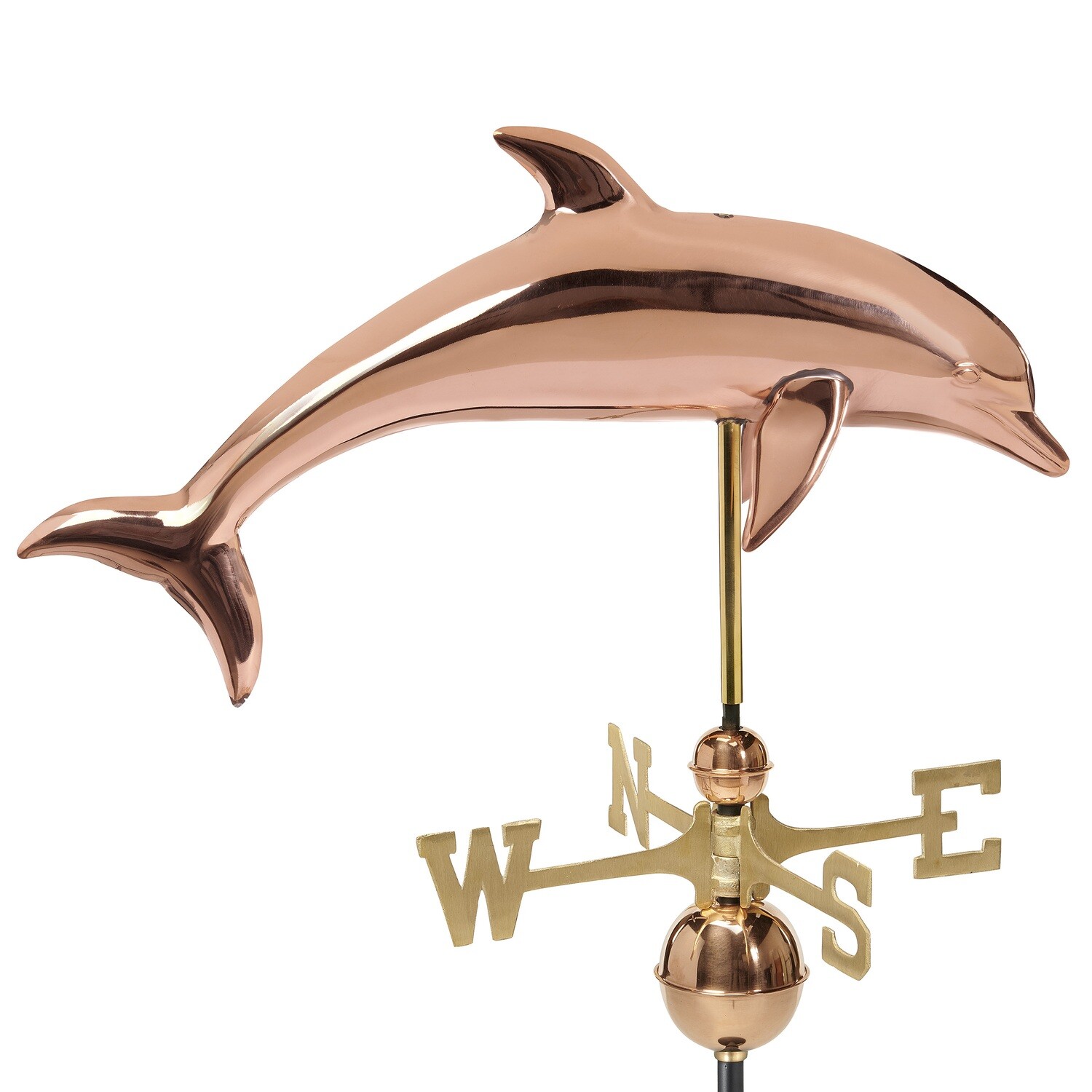 Dolphin