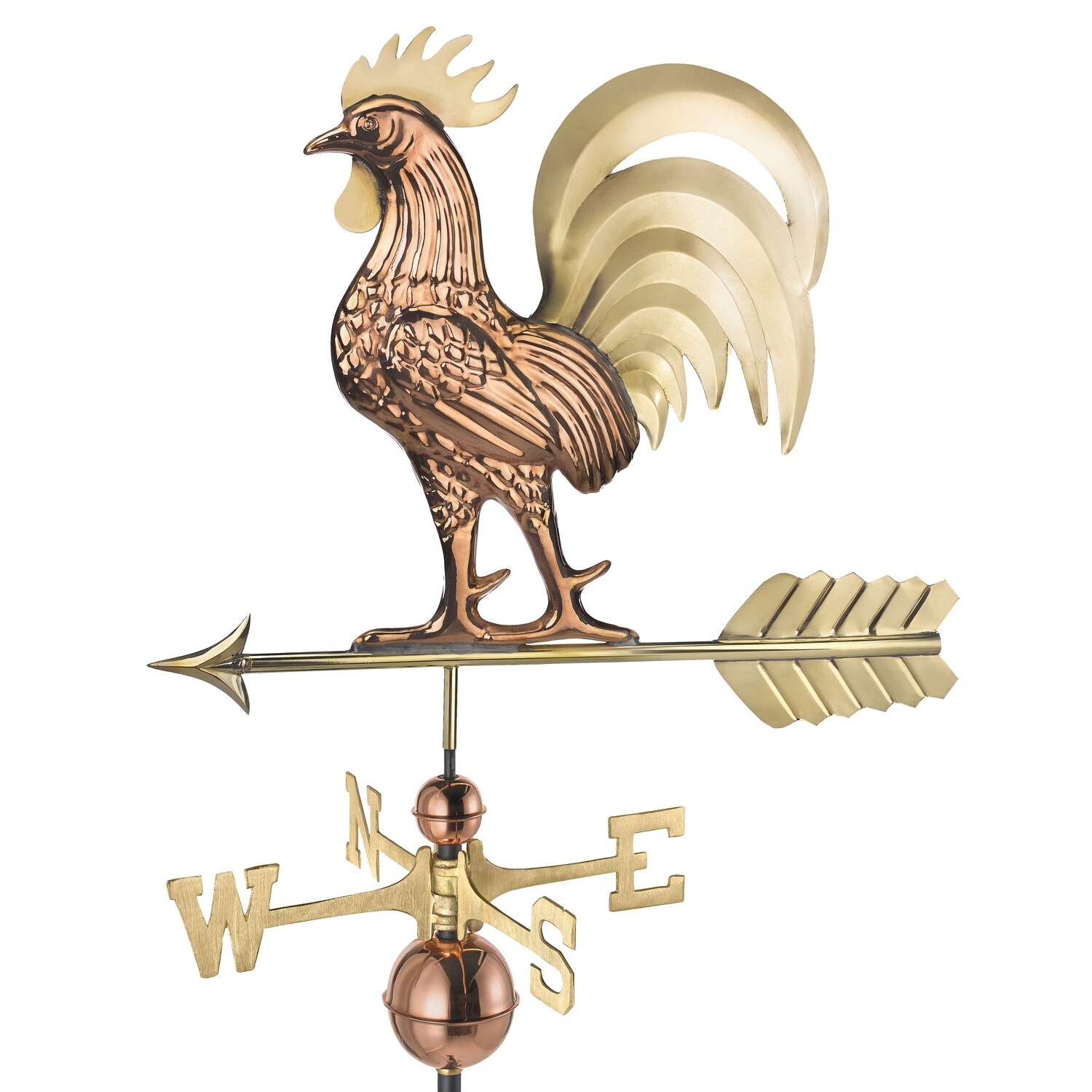 Proud Rooster