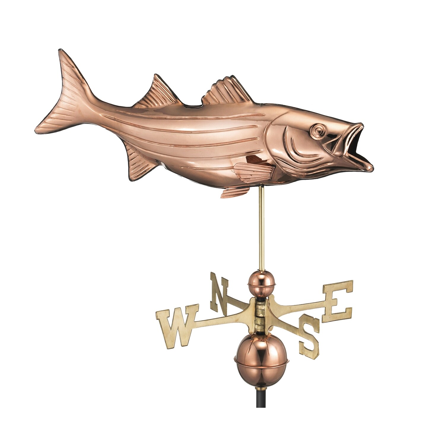 Bass