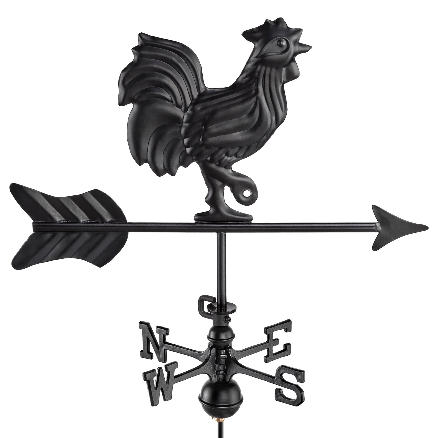 Rooster
