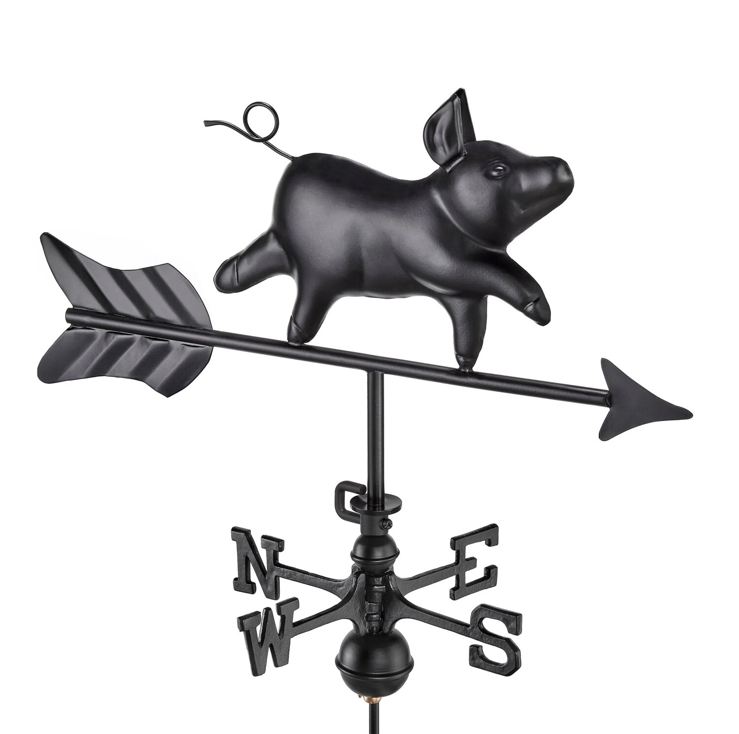 Pig