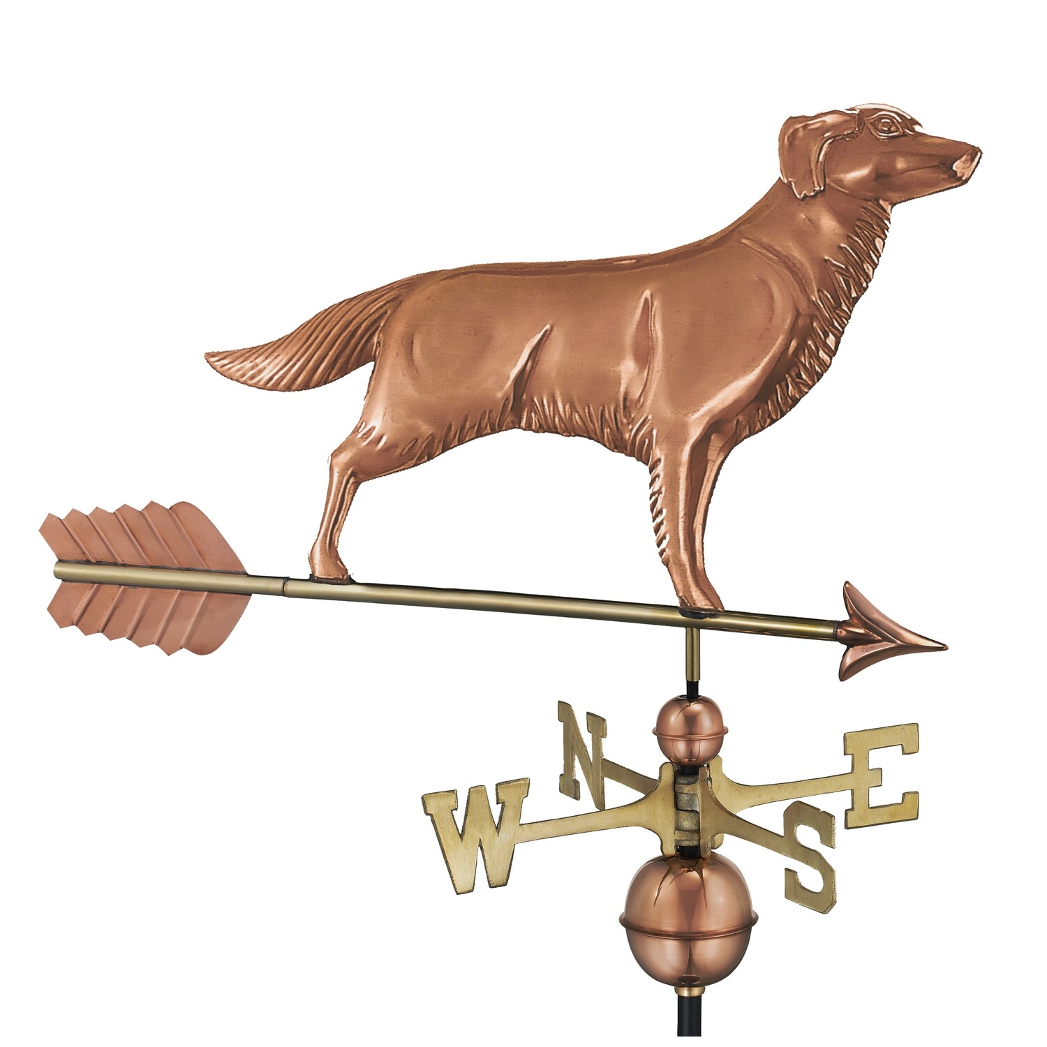Dog- Golden Retriever with Arrow