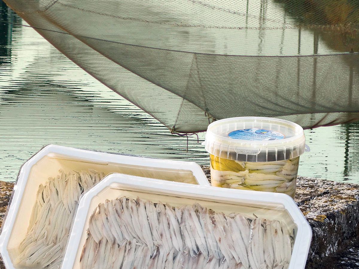 Tosi e Raggini Boquerones/White Anchovies 200g