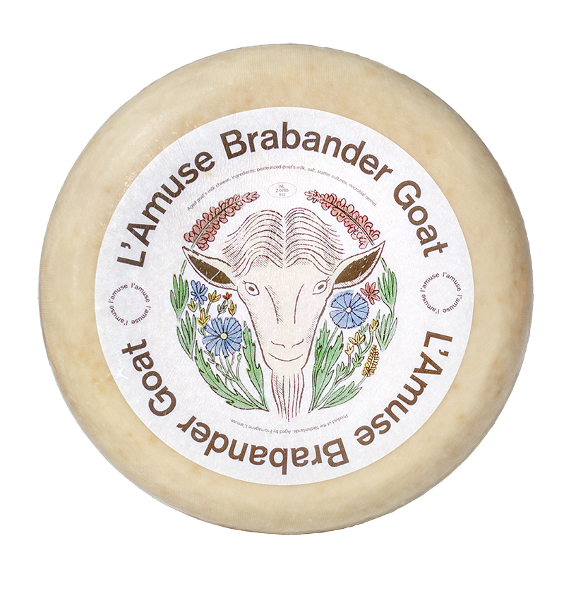 CHEVRANO Goat Gouda Brabander