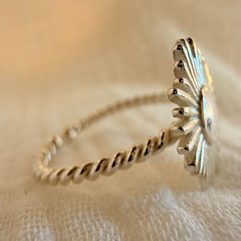 Day light ring