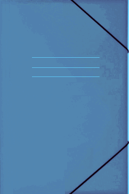 Carpeta para hoja de garbanzo Pancrhome Nº307 con elástico