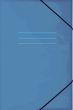 Carpeta para hoja de garbanzo Pancrhome Nº307 con elástico