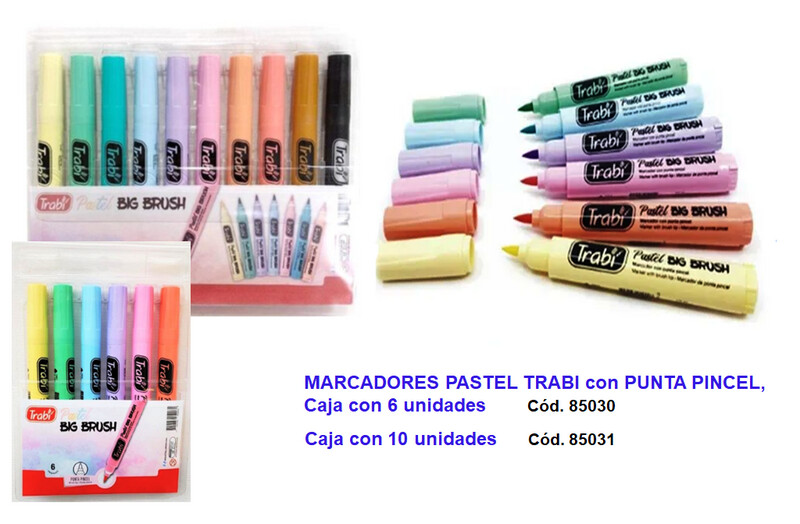 Marcadores PUNTA PINCEL Grueso  colores pastel *10