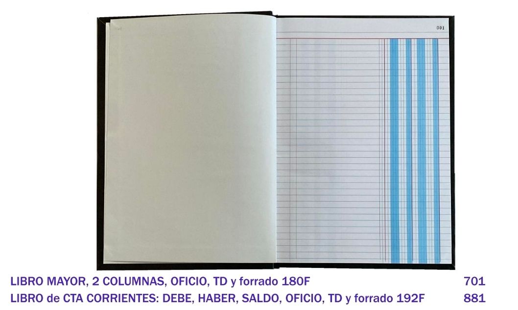 Libro Diario 2 Columnas 180 Folios