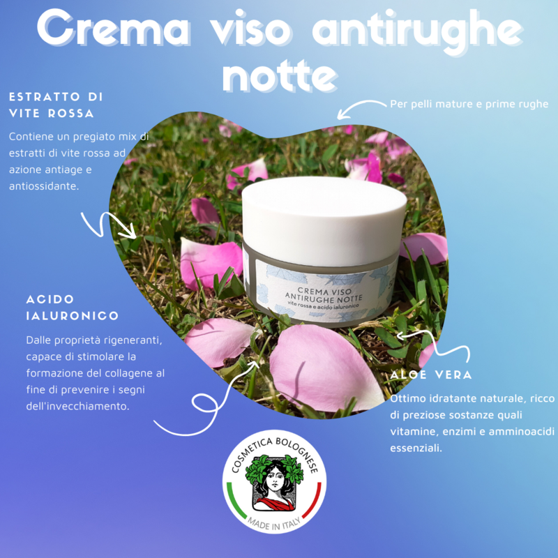 Crema Viso antirughe notte acido ialuronico e vite rossa