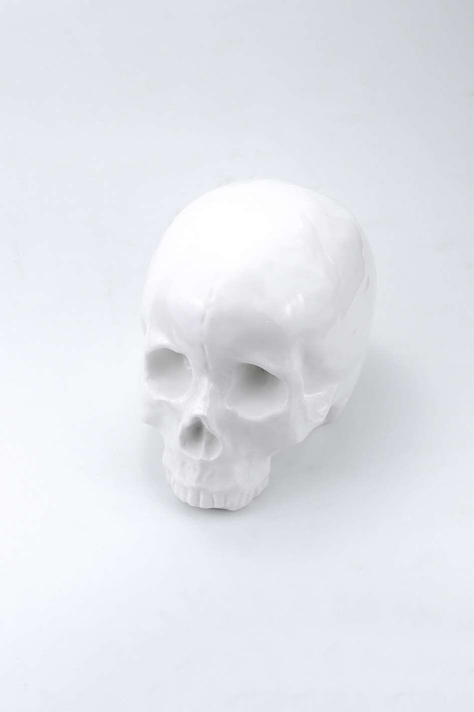 The large white skull