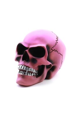 Skull "Alchemy" MSY