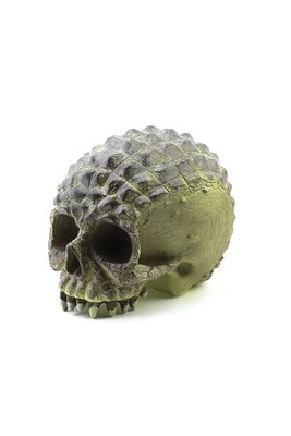 The skull "Reptile" MSY