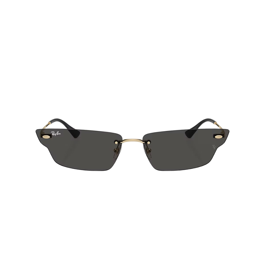 Ray-Ban XIME