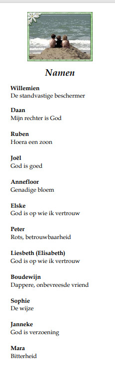 Boekenlegger