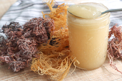 Organic Natural Sea Moss Gel(from Saint Lucia) 8oz.