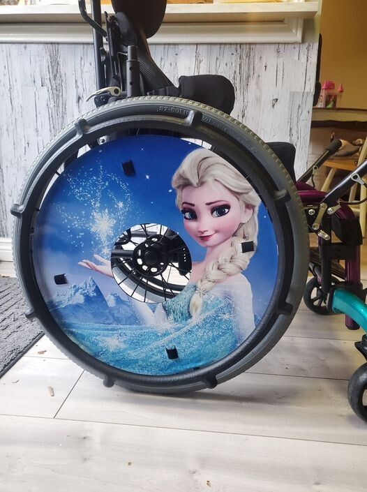 Frozen Stoke Guard Skin