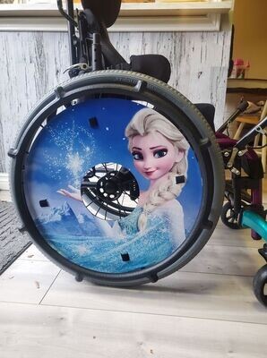 Frozen Stoke Guard Skin