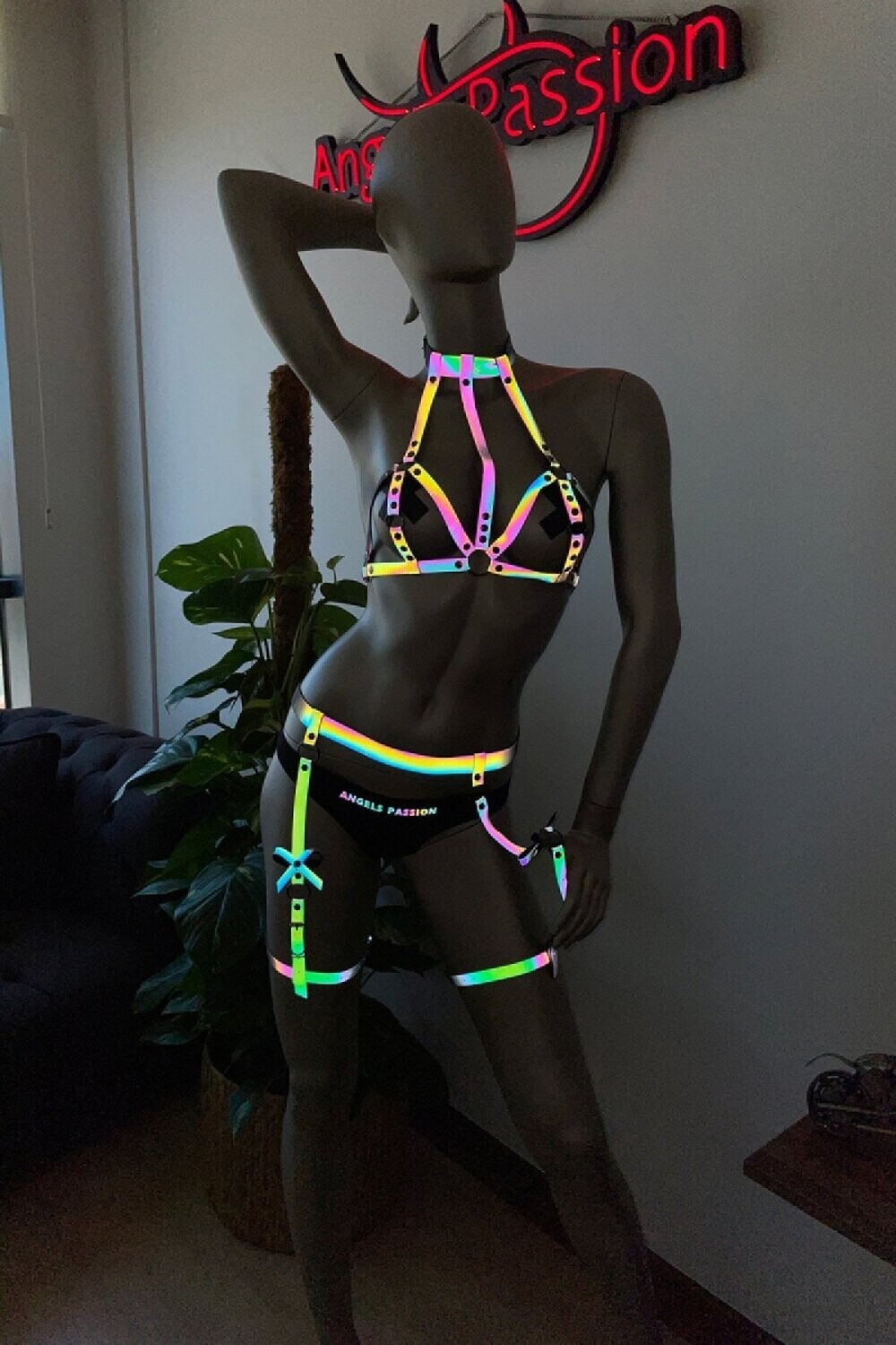 Reflective Harness