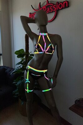 Reflective Harness
