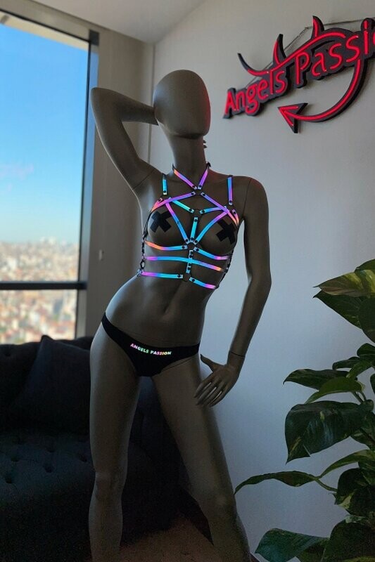 Reflective Harness