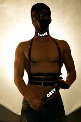 Reflective Collar