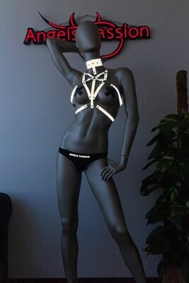 Reflective Harness
