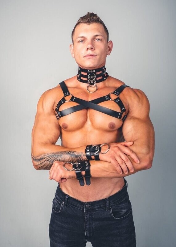 Male Harness