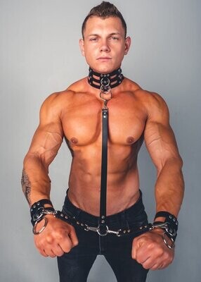 Male Harness