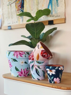 Hand-painted Terracotta Plant Pots